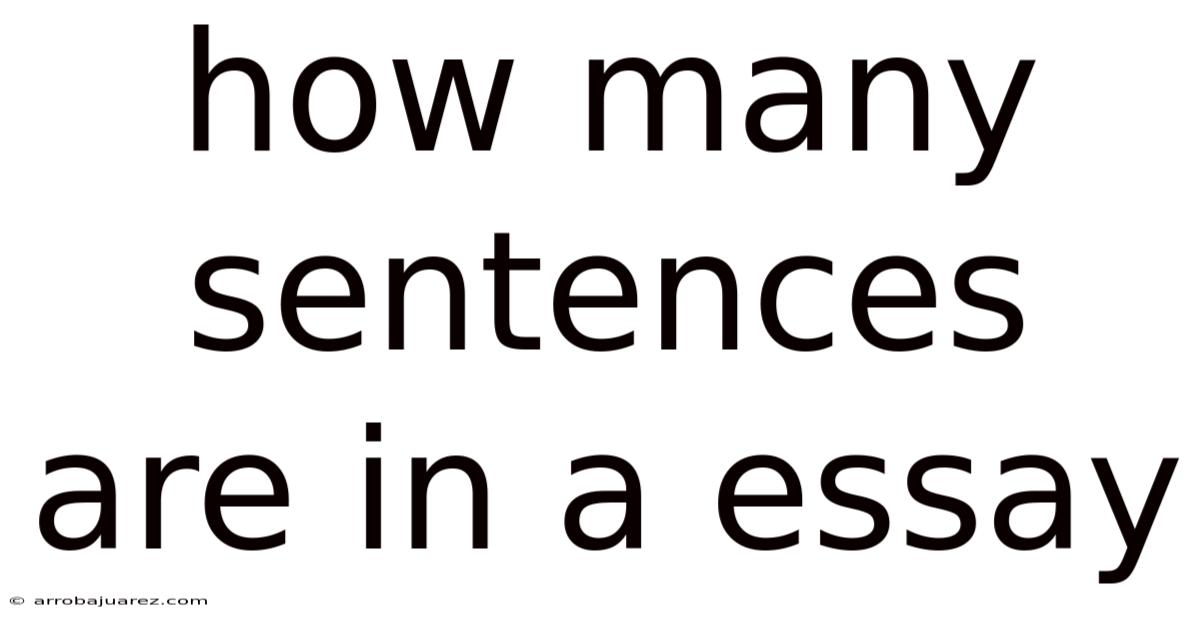 How Many Sentences Are In A Essay