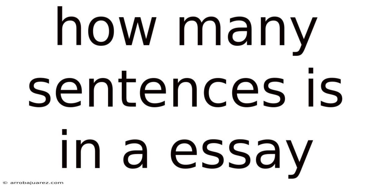 How Many Sentences Is In A Essay