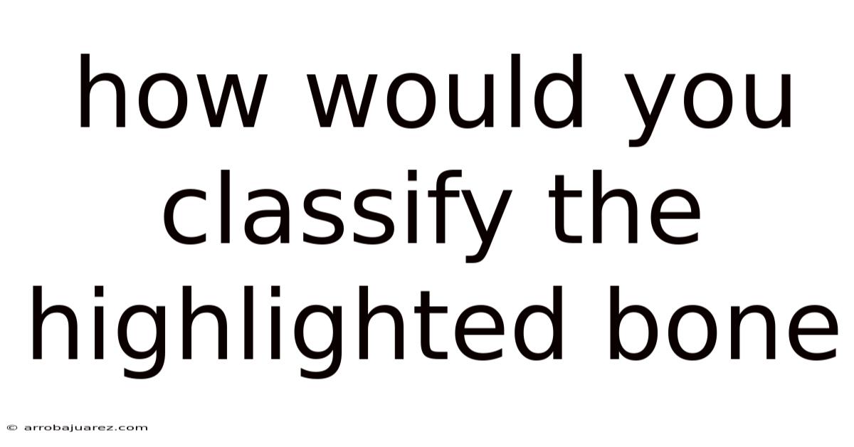How Would You Classify The Highlighted Bone