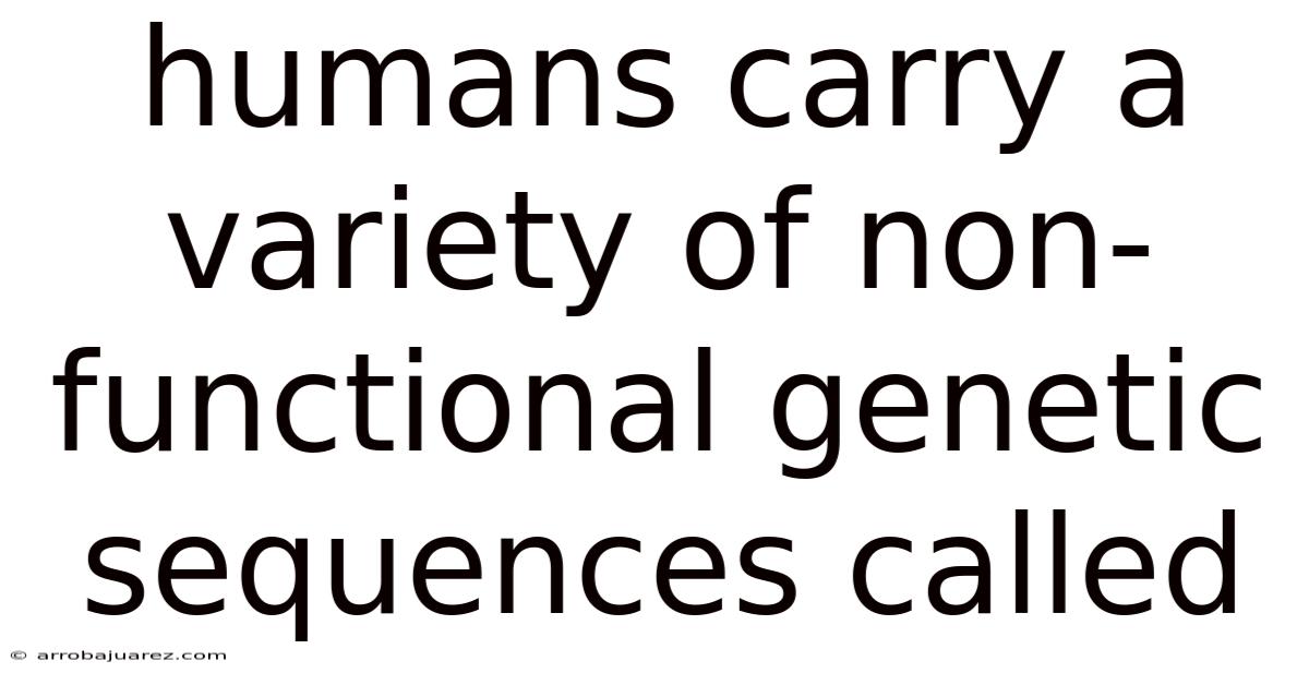 Humans Carry A Variety Of Non-functional Genetic Sequences Called
