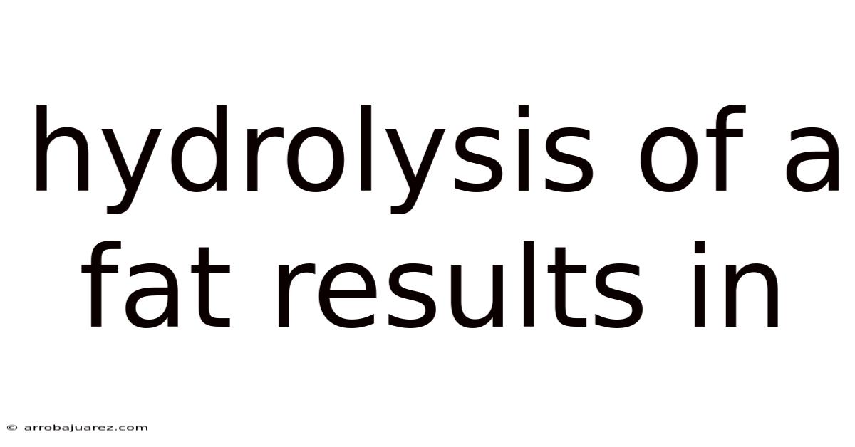 Hydrolysis Of A Fat Results In