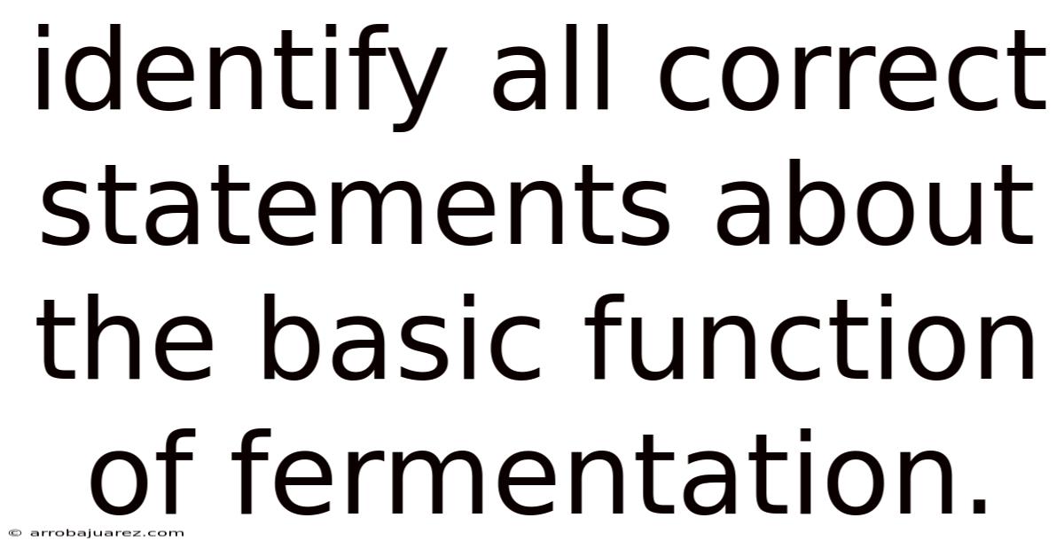 Identify All Correct Statements About The Basic Function Of Fermentation.
