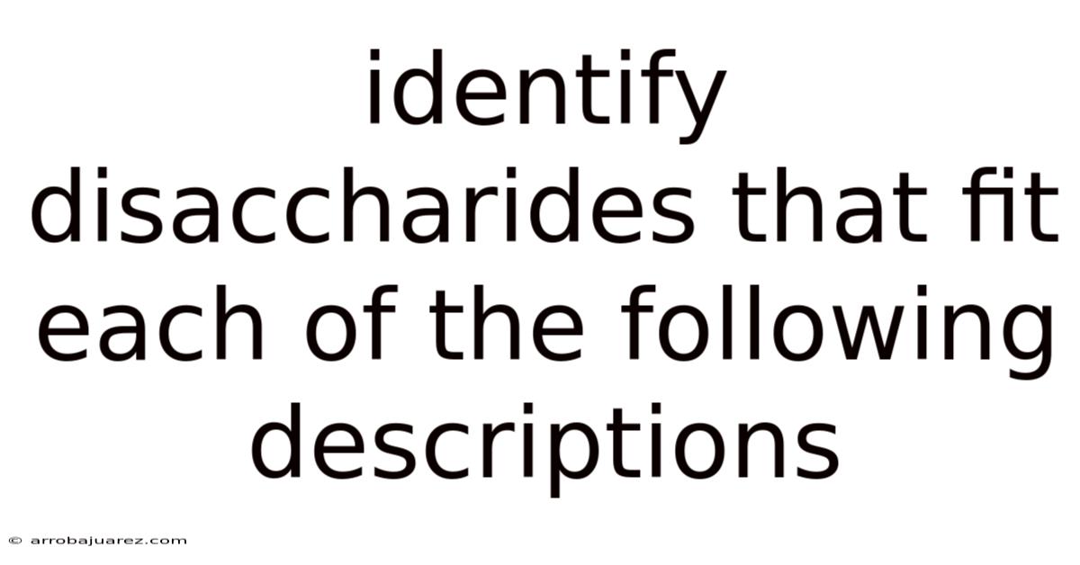 Identify Disaccharides That Fit Each Of The Following Descriptions