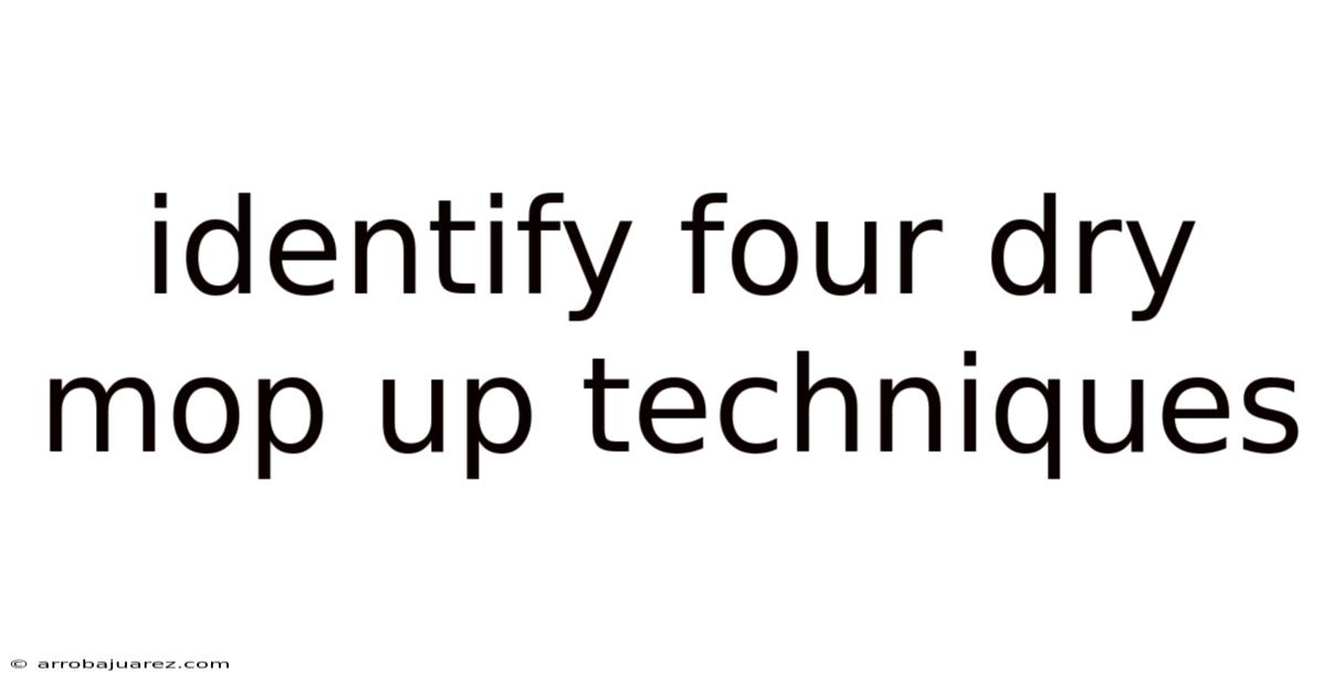 Identify Four Dry Mop Up Techniques