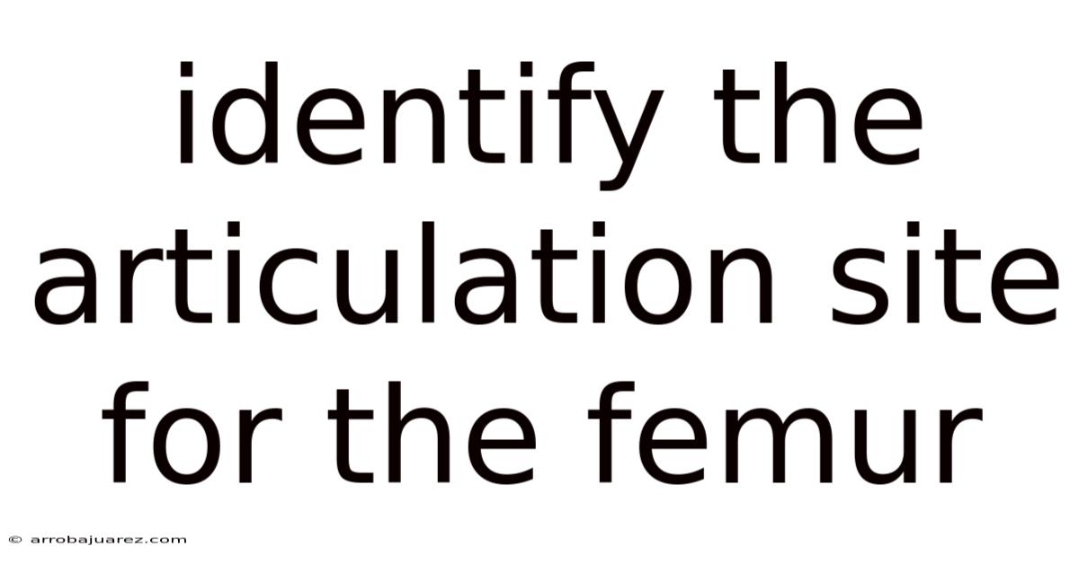 Identify The Articulation Site For The Femur