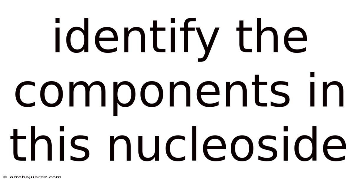 Identify The Components In This Nucleoside