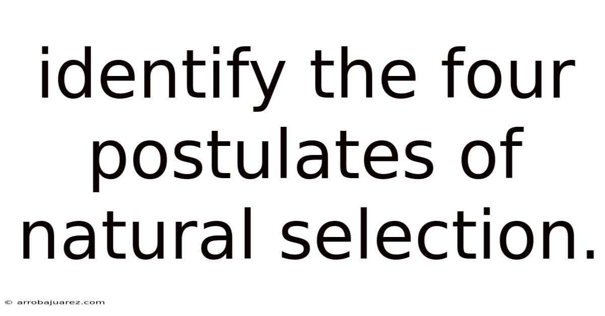 Identify The Four Postulates Of Natural Selection.