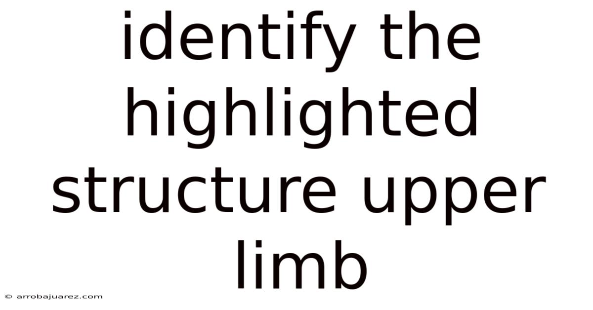 Identify The Highlighted Structure Upper Limb