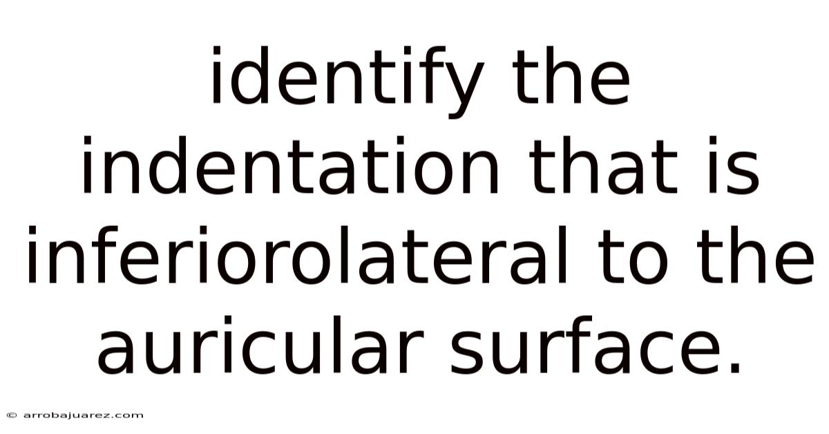 Identify The Indentation That Is Inferiorolateral To The Auricular Surface.