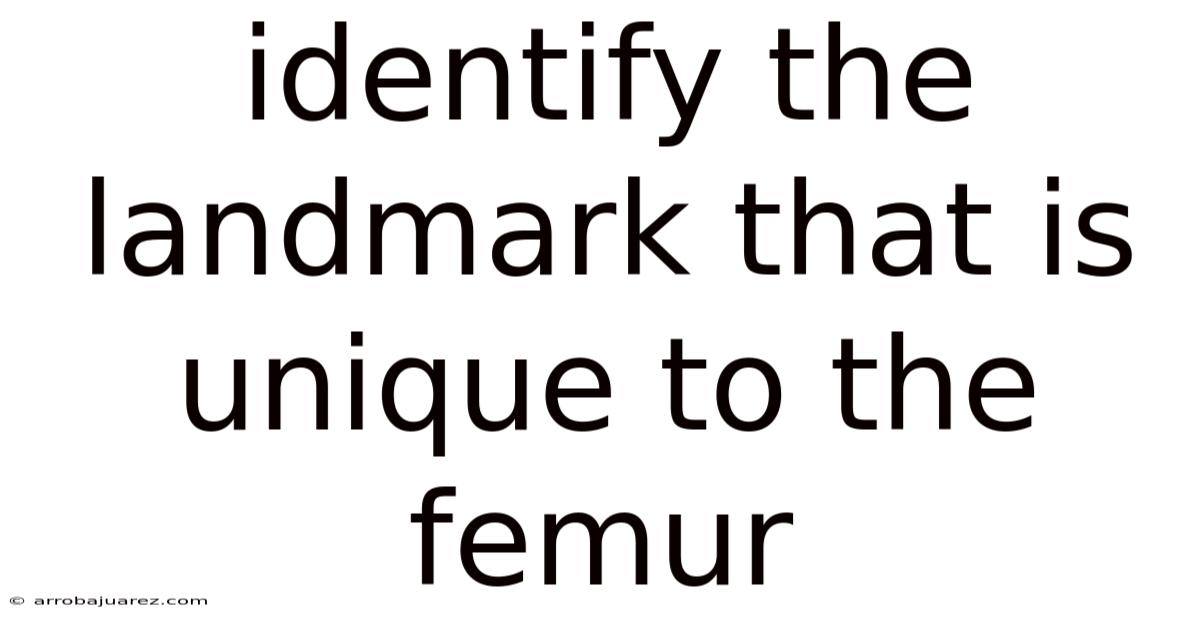 Identify The Landmark That Is Unique To The Femur