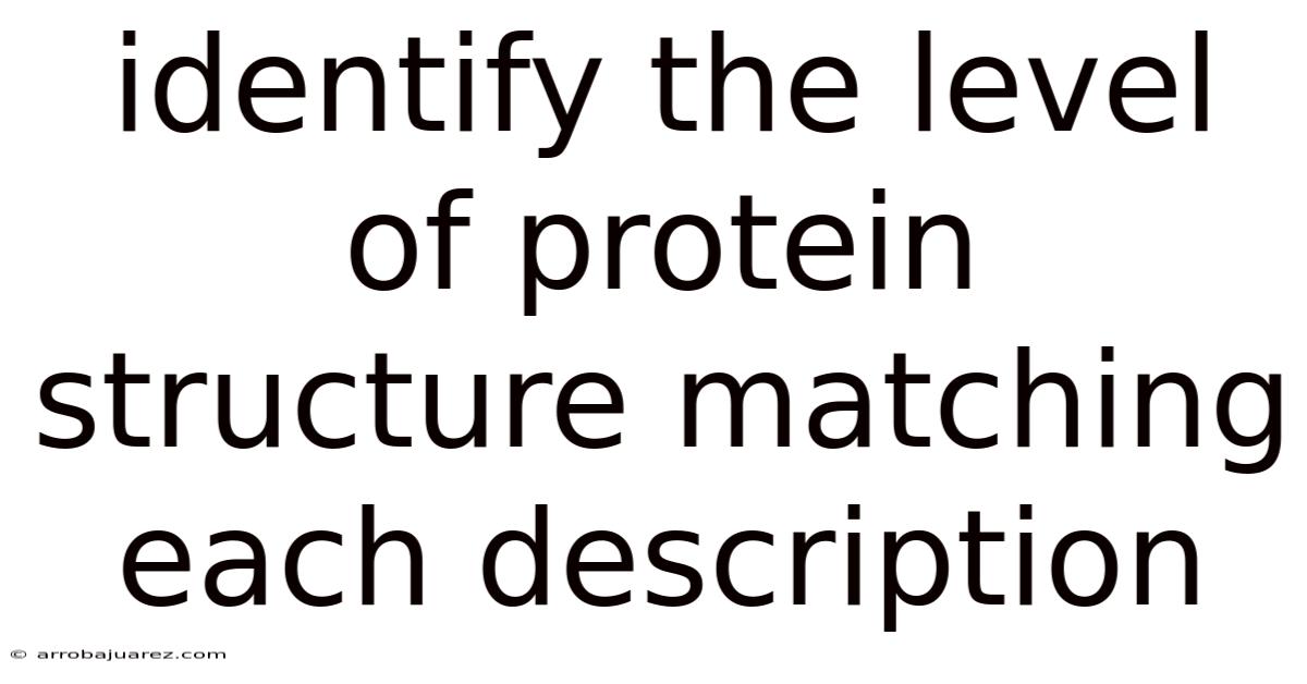 Identify The Level Of Protein Structure Matching Each Description
