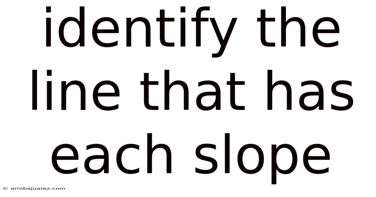 Identify The Line That Has Each Slope