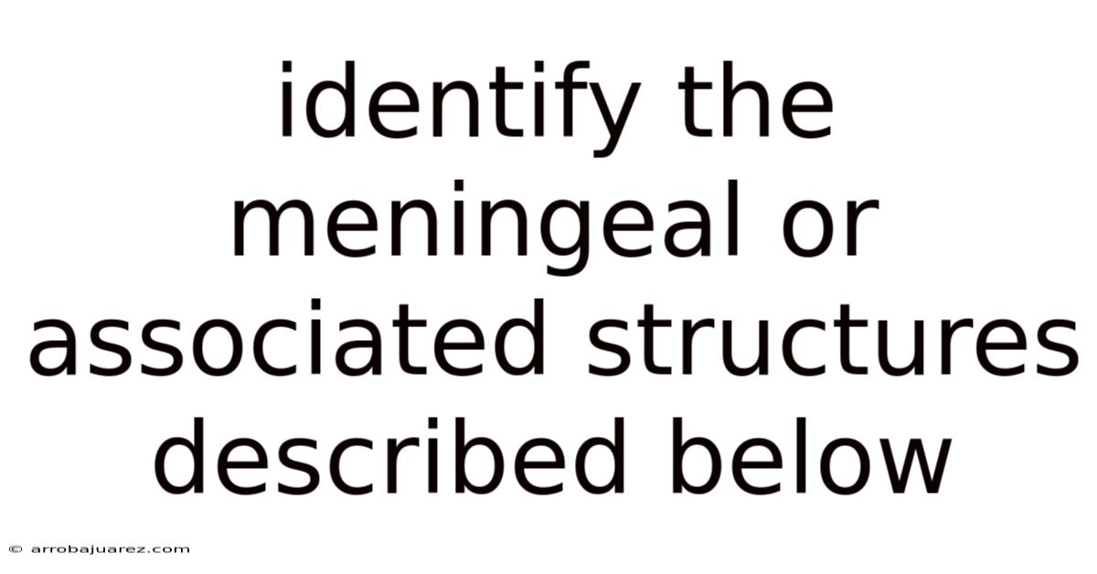 Identify The Meningeal Or Associated Structures Described Below