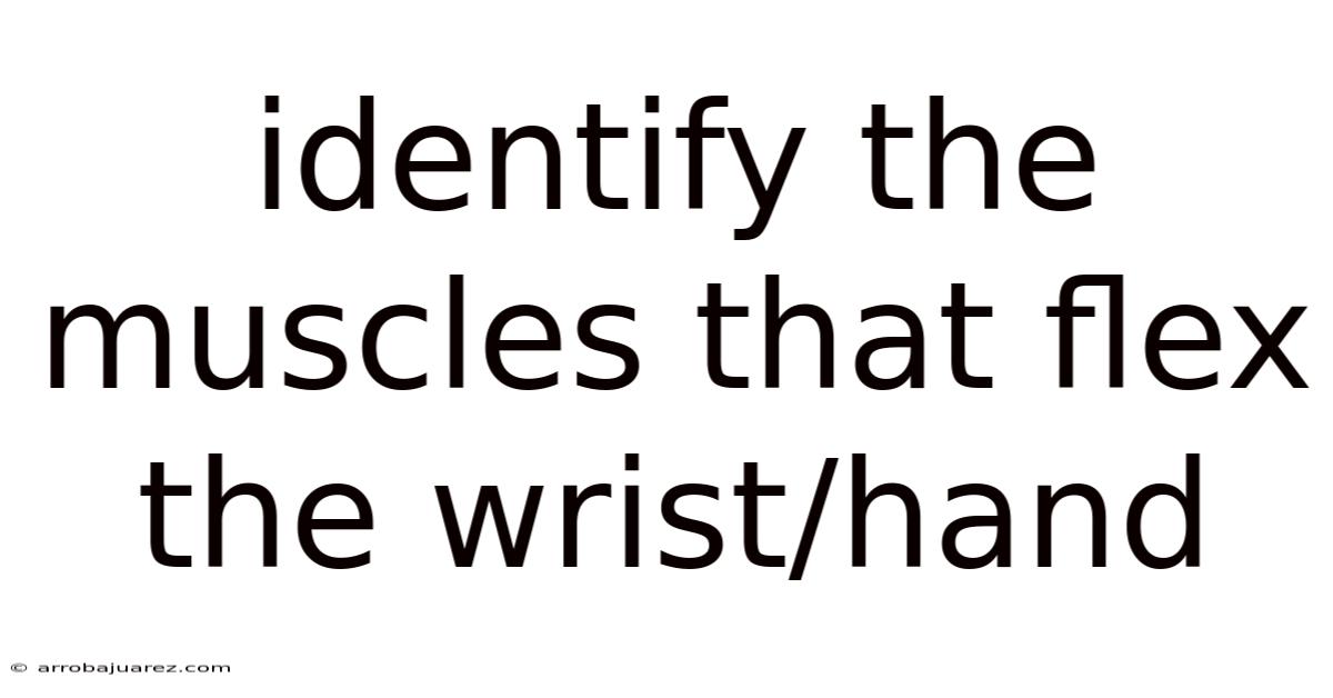 Identify The Muscles That Flex The Wrist/hand