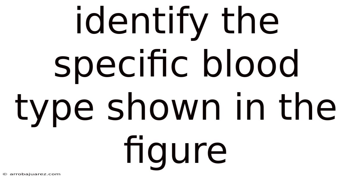 Identify The Specific Blood Type Shown In The Figure