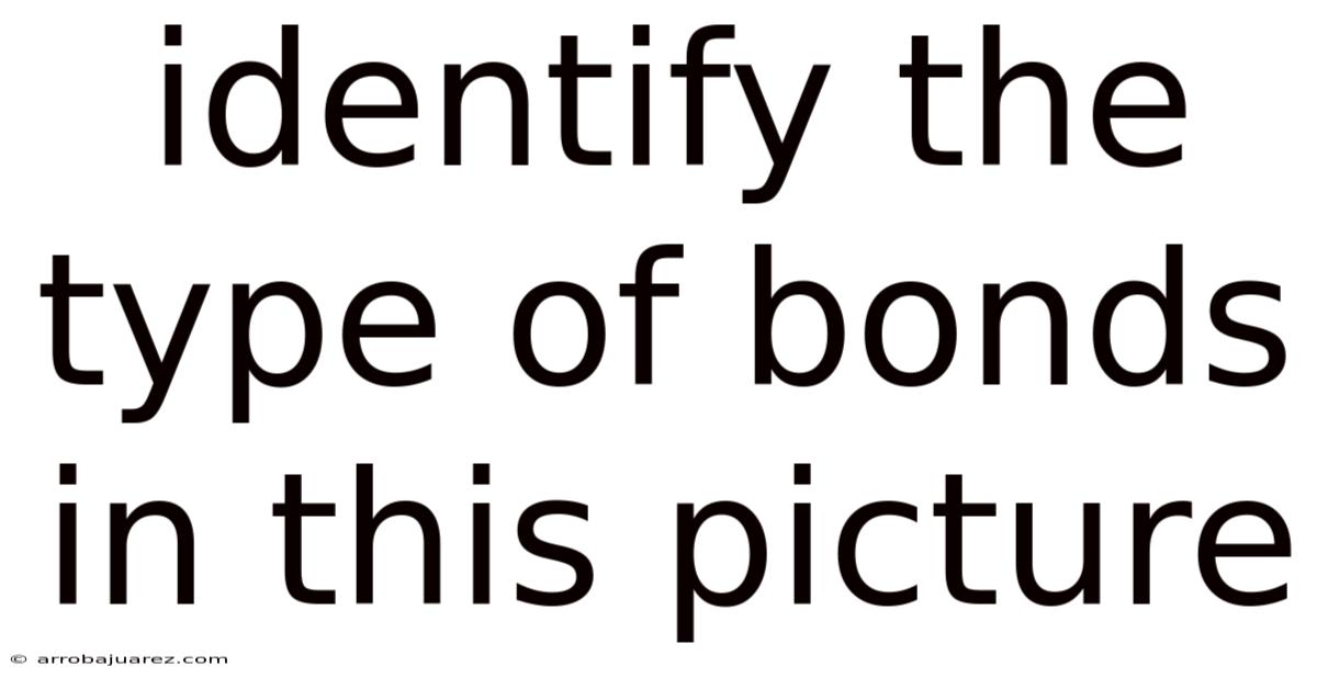 Identify The Type Of Bonds In This Picture