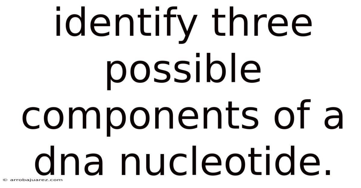 Identify Three Possible Components Of A Dna Nucleotide.
