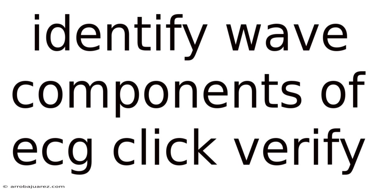Identify Wave Components Of Ecg Click Verify