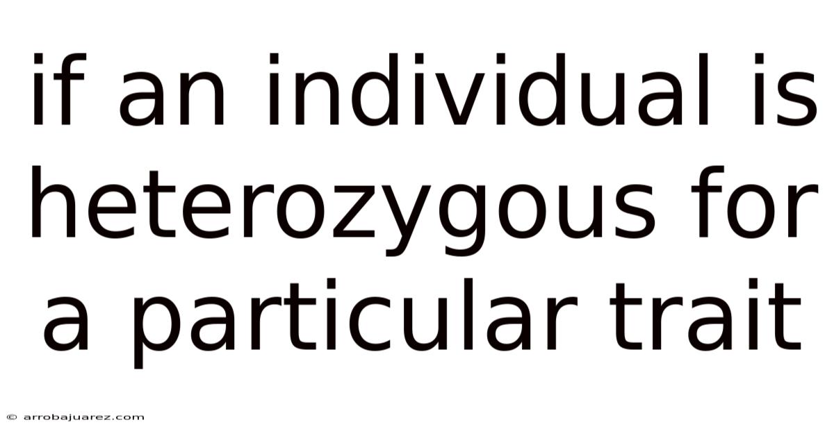If An Individual Is Heterozygous For A Particular Trait