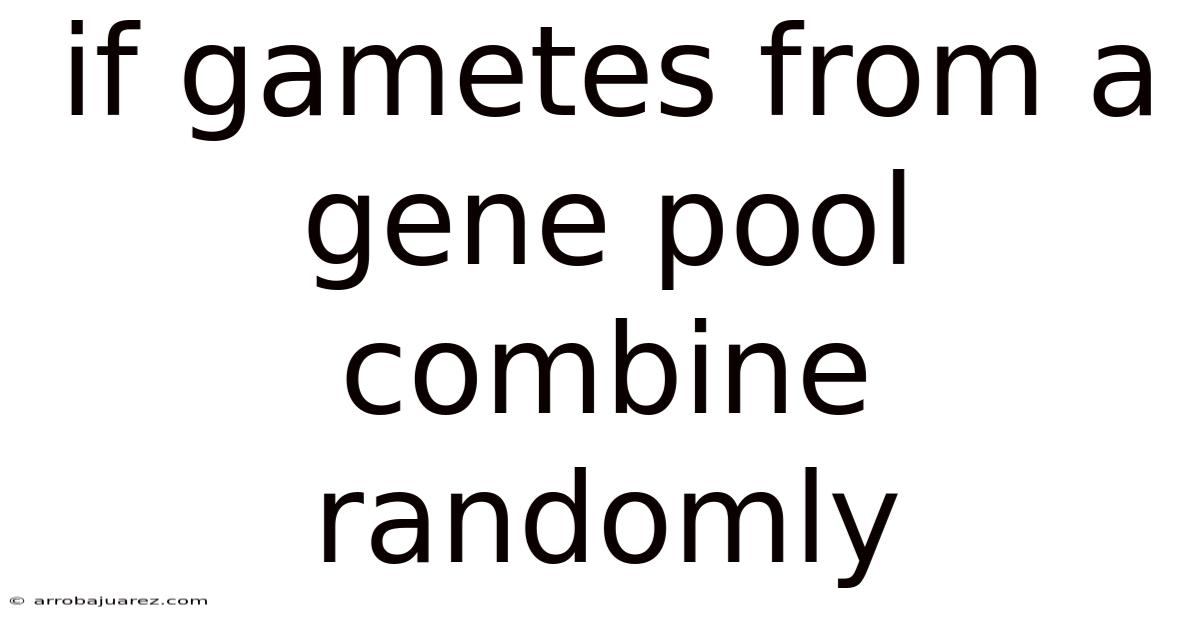 If Gametes From A Gene Pool Combine Randomly