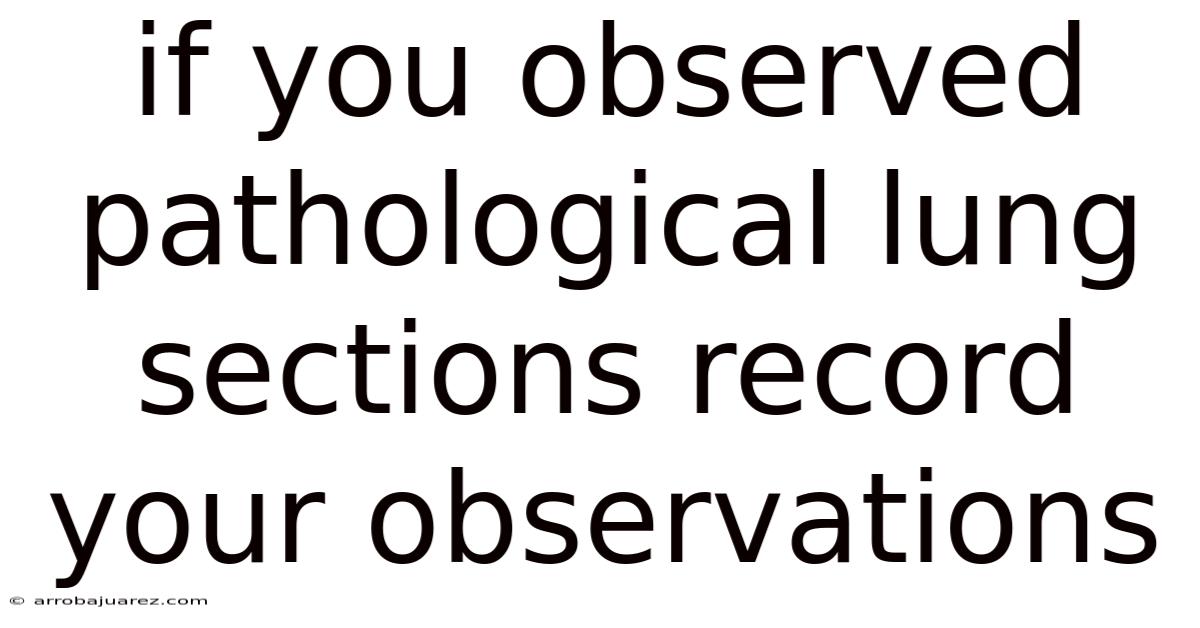If You Observed Pathological Lung Sections Record Your Observations
