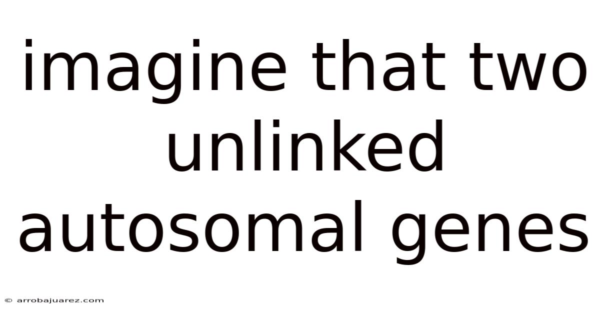 Imagine That Two Unlinked Autosomal Genes