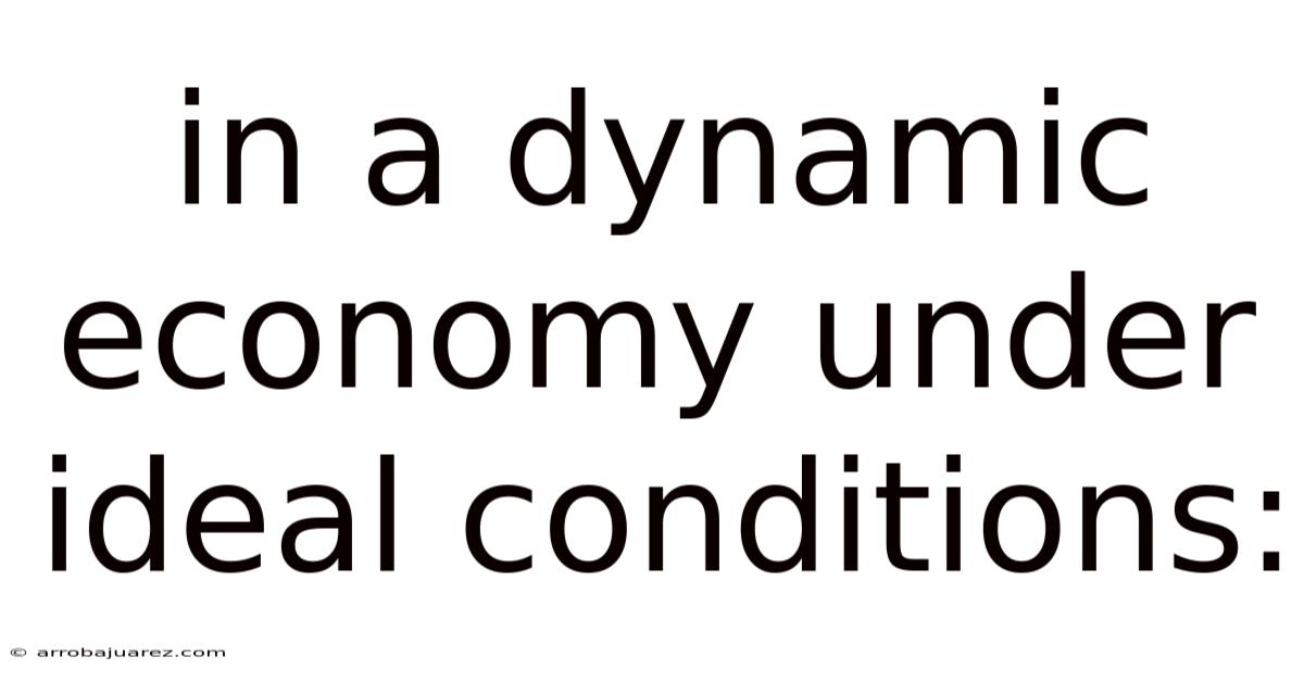 In A Dynamic Economy Under Ideal Conditions: