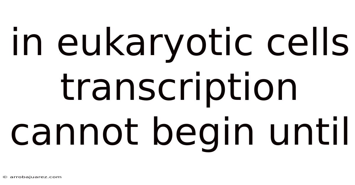 In Eukaryotic Cells Transcription Cannot Begin Until