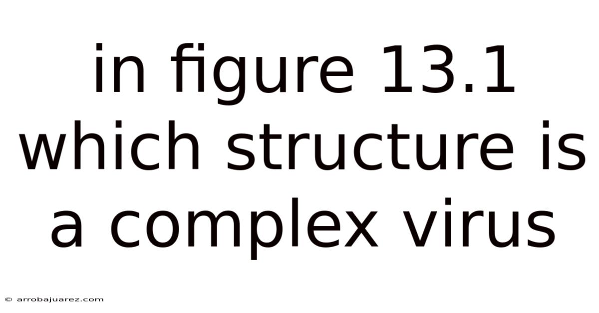 In Figure 13.1 Which Structure Is A Complex Virus