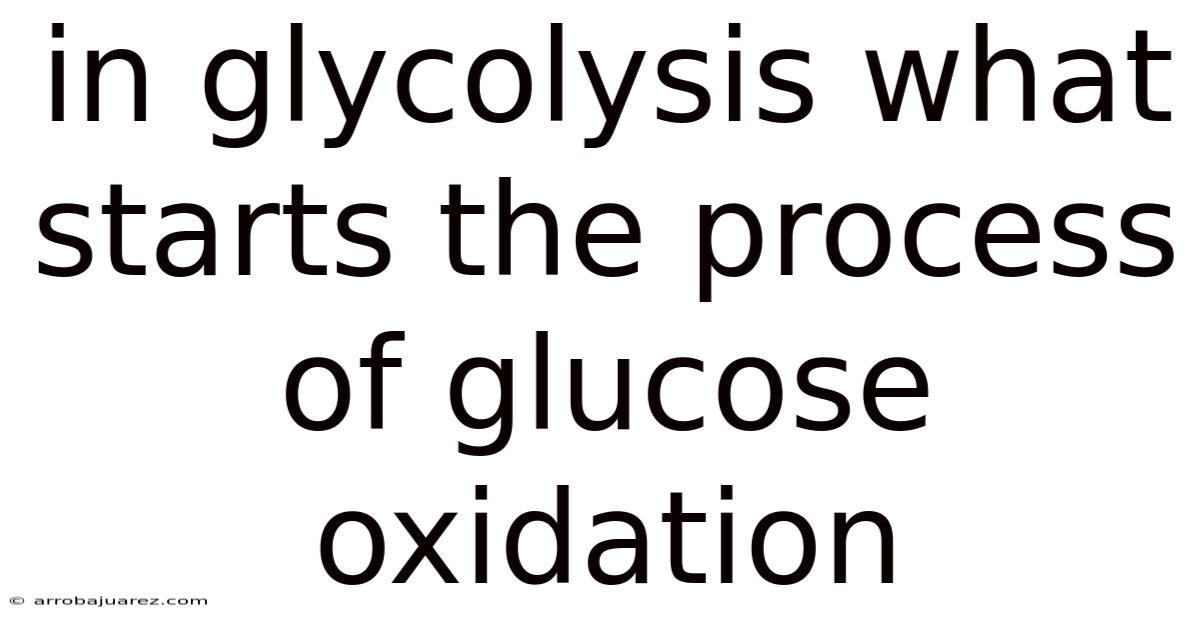 In Glycolysis What Starts The Process Of Glucose Oxidation