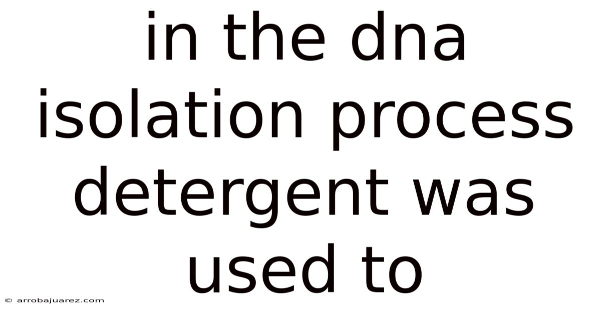 In The Dna Isolation Process Detergent Was Used To