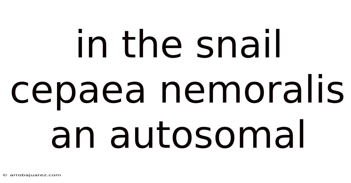 In The Snail Cepaea Nemoralis An Autosomal