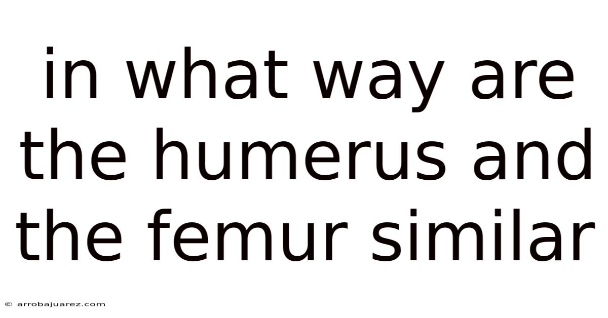 In What Way Are The Humerus And The Femur Similar