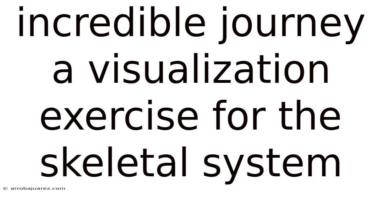 Incredible Journey A Visualization Exercise For The Skeletal System