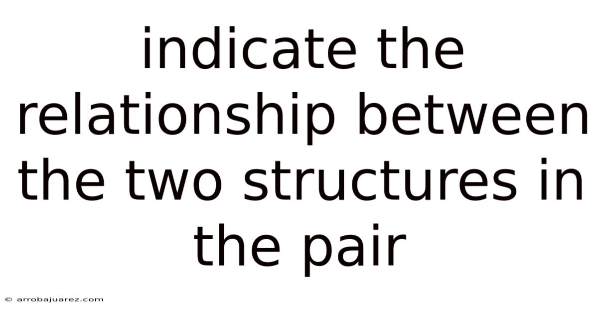 Indicate The Relationship Between The Two Structures In The Pair