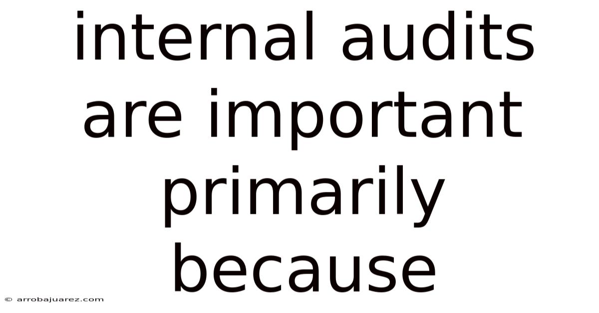 Internal Audits Are Important Primarily Because