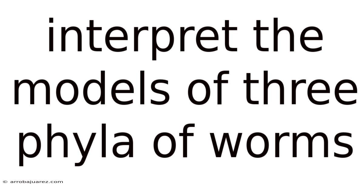 Interpret The Models Of Three Phyla Of Worms