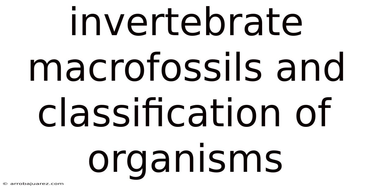 Invertebrate Macrofossils And Classification Of Organisms