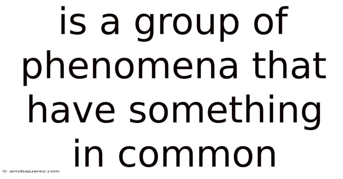 Is A Group Of Phenomena That Have Something In Common
