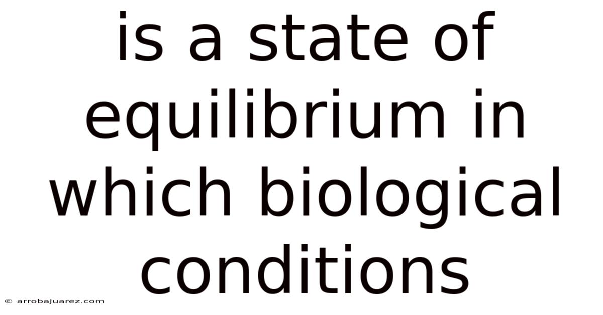 Is A State Of Equilibrium In Which Biological Conditions