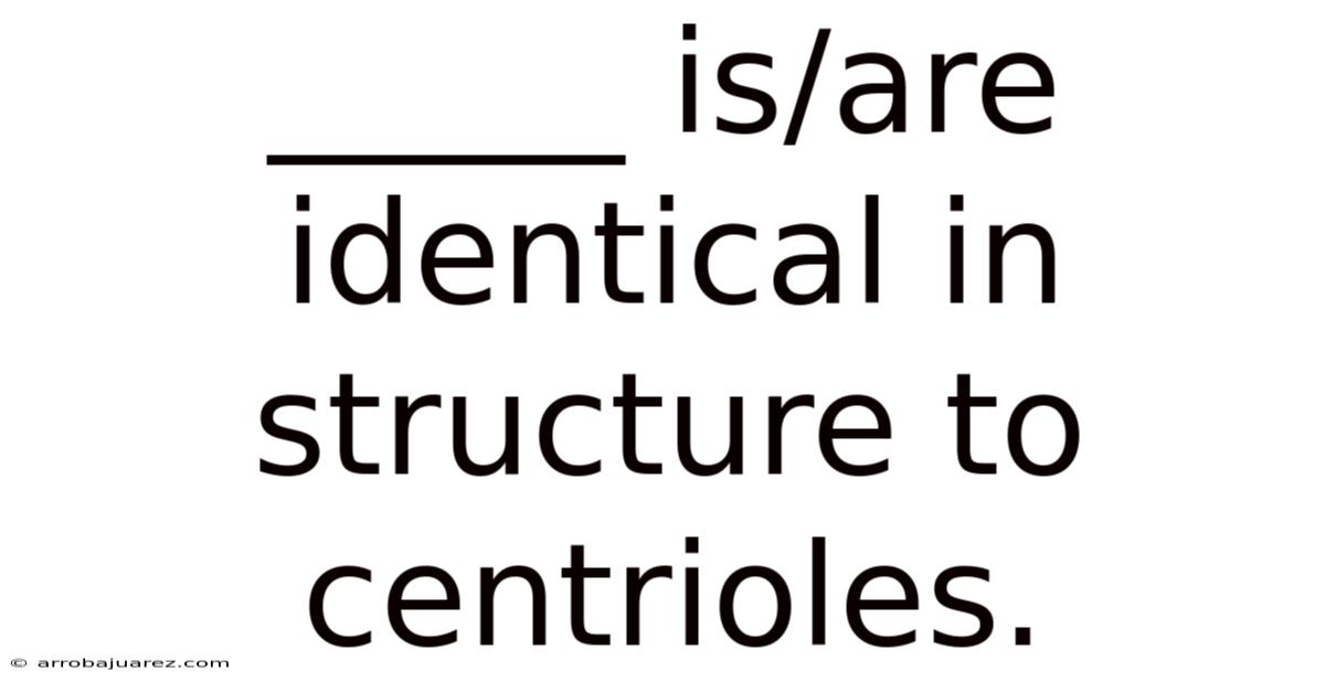_____ Is/are Identical In Structure To Centrioles.