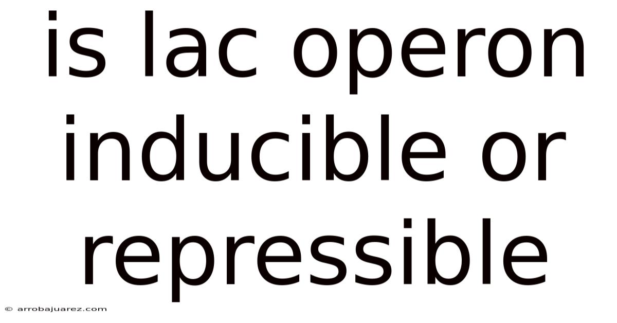 Is Lac Operon Inducible Or Repressible