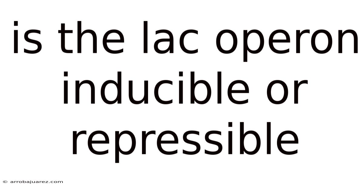 Is The Lac Operon Inducible Or Repressible