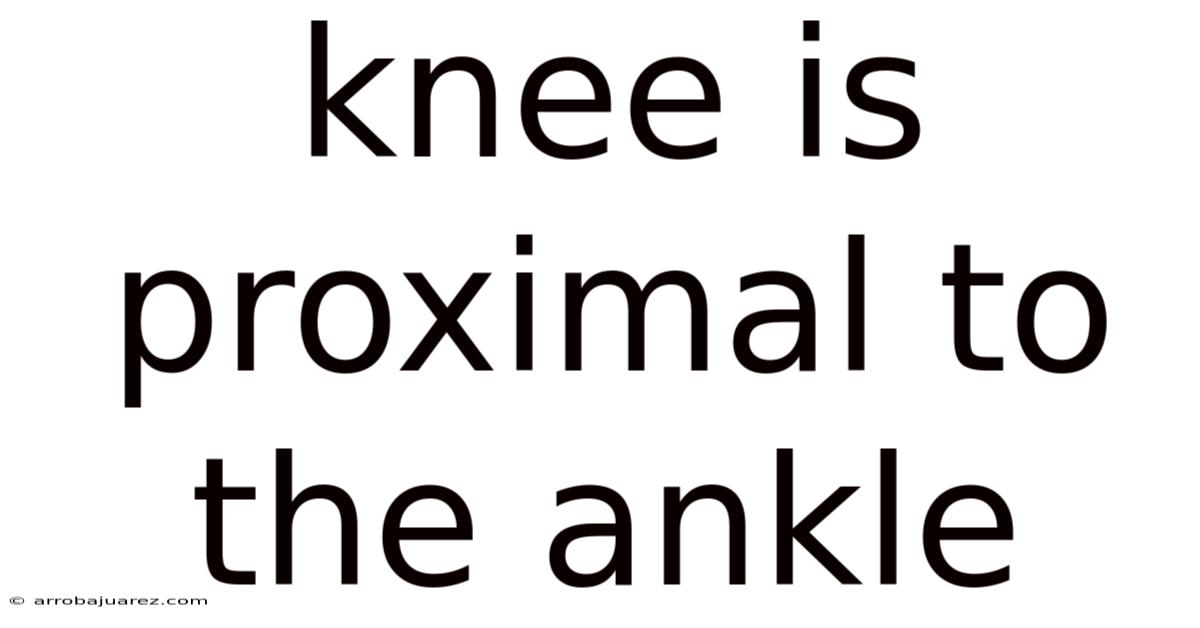 Knee Is Proximal To The Ankle
