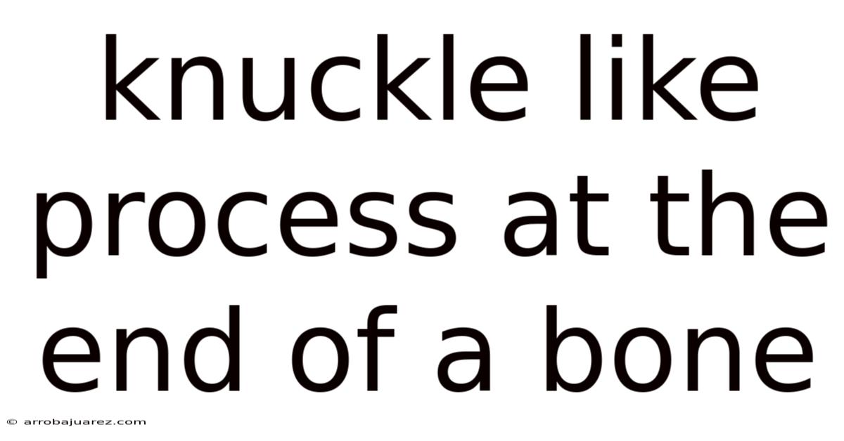 Knuckle Like Process At The End Of A Bone