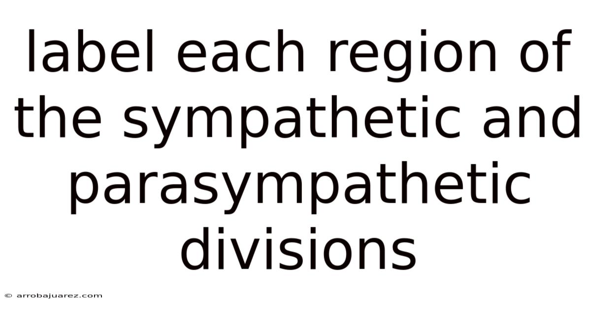 Label Each Region Of The Sympathetic And Parasympathetic Divisions