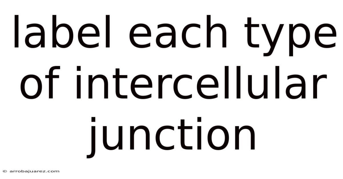 Label Each Type Of Intercellular Junction