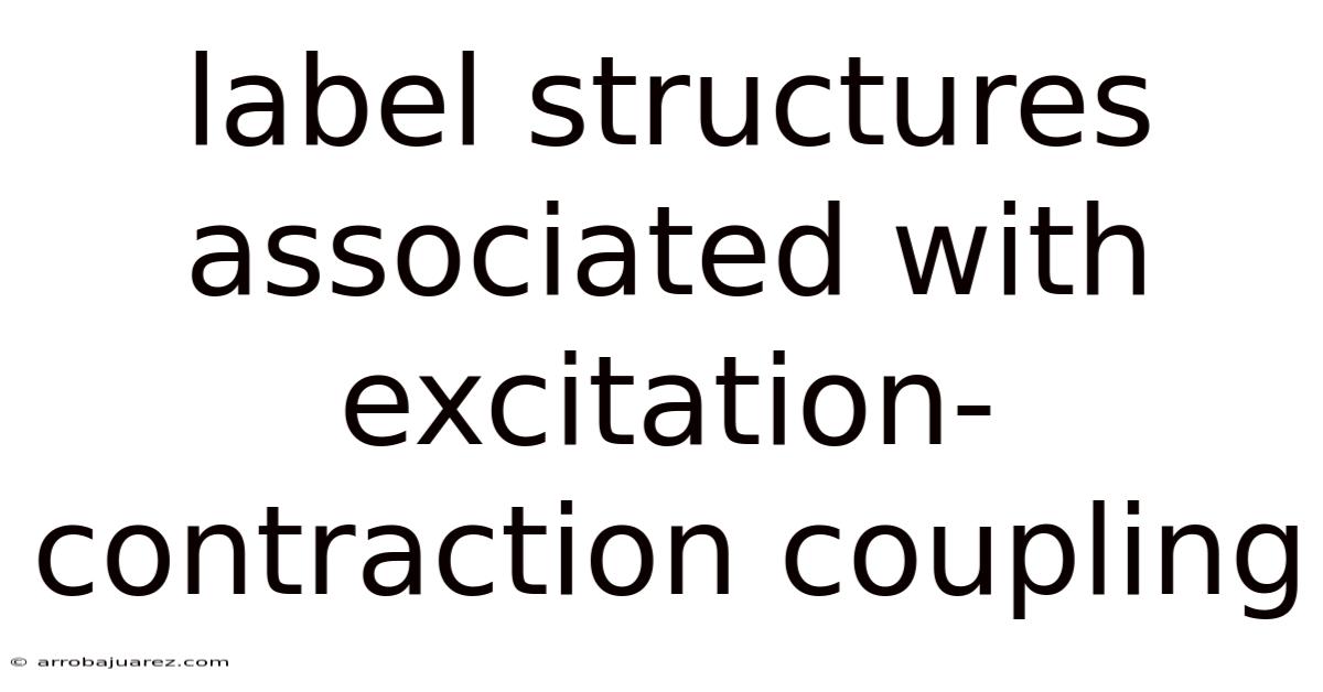 Label Structures Associated With Excitation-contraction Coupling