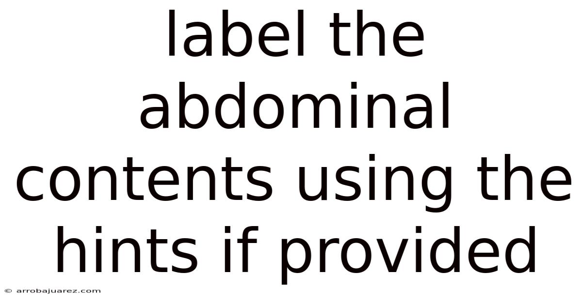 Label The Abdominal Contents Using The Hints If Provided
