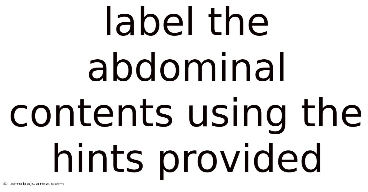 Label The Abdominal Contents Using The Hints Provided